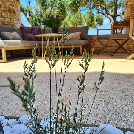 Teresa Luxury Διαμέρισμα